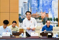 Trưởng ban Dân nguyện, ông Dương Thanh Bình trình bày báo cáo.