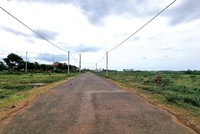 Nhiều lô đất tại Quảng Trị đấu giá cao ngất ngưởng, xong bỏ cọc