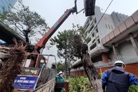 Bộ Tài chính đề nghị các doanh nghiệp bảo hiểm báo cáo bồi thường do bão Noru 