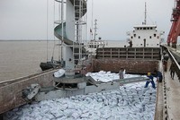 Lũy kế đến 15/9, xuất khẩu phân bón đạt 1.3 triệu tấn, trị giá 840 triệu USD, tăng 52,78% về lượng và tăng 71,64% về trị giá so với cùng kỳ năm 2021.