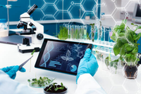 Ảnh minh họa (internet)