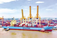 Về lý thuyết, tỷ giá tăng sẽ có lợi cho doanh nghiệp xuất khẩu, song hầu hết doanh nghiệp xuất nhập khẩu tại Việt Nam đang chịu ảnh hưởng tiêu cực vì tỷ giá tăng. Trong ảnh: Vận chuyển hàng hóa tại cảng Đình Vũ (Hải Phòng). Ảnh: Minh Hoàng