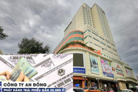 “Ôm” trái phiếu của doanh nghiệp vỡ nợ toàn bộ, trái chủ nguy cơ chỉ còn "cái cọng rơm"