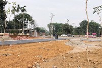 Cho phép chia lô, tách thửa đất sẽ giúp cung ra thị trường những nền đất có giá vừa túi tiền. Ảnh: Dũng Minh