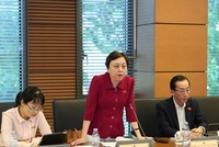 Đại biểu Phạm Khánh Phong Lan thảo luận tại tổ TP.HCM (Ảnh Duy Linh).