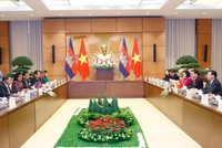 Chủ tịch Quốc hội Vương Đình Huệ hội đàm với Chủ tịch Thượng viện Campuchia Samdech Say Chhum.