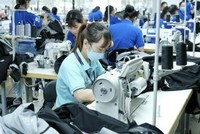 Chờ đón dòng vốn FDI chất lượng từ EU