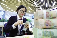 Trong giai đoạn này, rất cần sự chia sẻ lẫn nhau giữa ngân hàng, doanh nghiệp và cả người dân. Ảnh: Đức Thanh