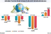 Doanh nghiệp giữa vòng xoáy lãi suất và tỷ giá: Đòn bẩy tài chính trở thành gánh nặng