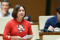 Đại biểu Đặng Bích Ngọc (Hòa Bình) chất vấn Thủ tướng Phạm Minh Chính.