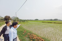 Bên đi săn đất ngộp chọn hàng rất kỹ