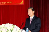 Ông Đoàn Anh Dũng phát biểu tại Hội nghị. (Ảnh: Nguyễn Thanh/TTXVN) 