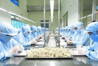 Bộ NN-PTNT chính thức khởi động xúc tiến xuất khẩu tổ yến vào thị trường Trung Quốc