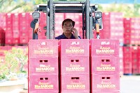 Sabeco đang trong quá trình chuyển đổi để trờ thành một công ty quốc tế