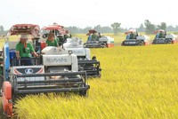 Nhóm cổ phiếu nông nghiệp là nhóm cổ phiếu phòng thủ và được đánh giá đang có nhiều thông tin hỗ trợ