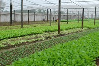 Hà Nội điều chỉnh chỉ tiêu quy hoạch sử dụng đất của huyện Hoài Đức đến năm 2030 