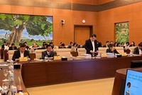 Thứ trưởng Bộ Kế hoạch và Đầu tư Trần Quốc Phương trình bày tờ trình về Quy hoạch. 