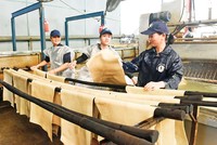 Bị chậm hoàn thuế GTGT từ hàng tỷ đồng đến hàng chục tỷ đồng, nhiều doanh nghiệp cao su lâm cảnh khốn đốn