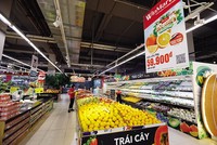 Đối mặt nhiều thách thức, song kinh tế Việt Nam vẫn được dự báo tăng trưởng khả quan trong năm 2023. Ảnh: Đ.T