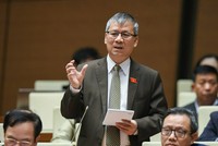 Đại biểu Nguyễn Anh Trí phát biểu tại hội trường. 