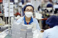 Xuất khẩu của Việt Nam sang các thị trường có FTA tăng trưởng mạnh Ảnh: Đức Thanh