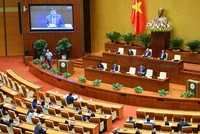 Phiên thảo luận tại hội trường về Quy hoạch tổng thể quốc gia.