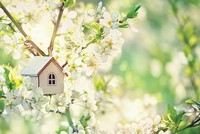 Nhà nằm trong phố