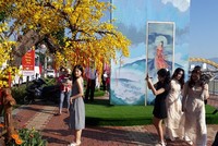 Đường hoa Tết tại Đà Nẵng thu hút người dân và du khách đến check-in.