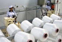 Dư địa hợp tác giữa doanh nghiệp Việt Nam và Hồng Kông 