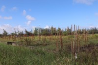 Quảng Nam tiếp tục rà soát các dự án bất động sản. Ảnh minh họa