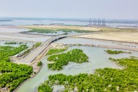 Vị trí dự kiến xây dựng Dự án cảng Tổng hợp và Container Cái Mép Hạ.