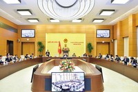 Phiên thảo luận về Dự thảo Luật Bảo vệ quyền lợi người tiêu dùng sửa đổi của Ủy ban Thường vụ Quốc hội. Ảnh: NĐ