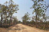 Con đường tự mở trên đất rừng sản xuất.