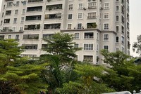 Quy định về chấm dứt quyền sở hữu nhà chung cư cần được cân nhắc thấu đáo.