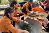 Ở Xã Tân Cương (TP Thái Nguyên, Tỉnh Thái Nguyên đã có 6/12 hợp tác xã có sản phẩm đạt tiêu chuẩn OCOP từ 3 đến 5 sao - Ảnh thi sao chè tại lễ hội trà xuân Tân Cương 