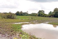 NSH Petro đã tạm ứng tiền cho địa phương thực hiện xong công tác giải phóng mặt bằng khu đất dự án