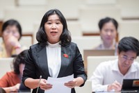 Đại biểu Lê Thị Song An (Long An) tham gia thảo luận. 