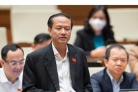 Đại biểu Đinh Ngọc Minh phát biểu tại hội trường.