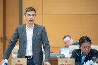 Thứ trưởng Bộ Tài chính Võ Thành Hưng báo cáo tại phiên họp.