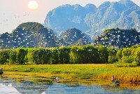 Ban hành kế hoạch tổ chức thẩm định Quy hoạch bảo tồn đa dạng sinh học quốc gia