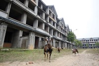 Phần lớn tài sản bảo đảm cho các khoản vay tại hệ thống ngân hàng hiện nay là bất động sản