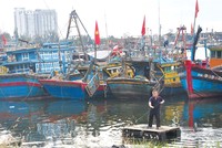 Vì những lý do khác nhau, nhiều tàu cá ở Đà Nẵng không ra khơi, khiến sản lượng khai thác giảm mạnh Ảnh: H.A