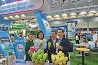 Thương hiệu Xoài Cao Lãnh đã và đang được người tiêu dùng ưa chuộng và tín nhiệm cao.