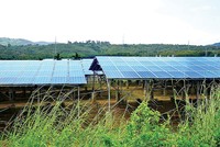 Một dự án điện mặt trời mái nhà núp bóng trang trại