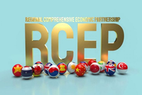 Hướng dẫn về cấp C/O mẫu RCEP