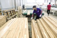 Tình trạng cắt giảm lao động đang phổ biến ở các doanh nghiệp sản xuất, chế biến hàng xuất khẩu. Ảnh: Đ.T 