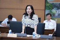 Đại biểu Đoàn Thị Thanh Mai phát biểu tại tổ. 