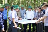 UBND tỉnh Quảng Trị kiểm tra tiến độ dự án cao tốc Bắc Nam đoạn Vạn Ninh - Cam Lộ.