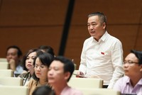 Đại biểu Quốc hội Nguyễn Lân Hiếu phát biểu tại phiên thảo luận. 