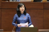 Bộ trưởng Bộ Y tế Đào Hồng Lan phát biểu cuối phiên thảo luận.